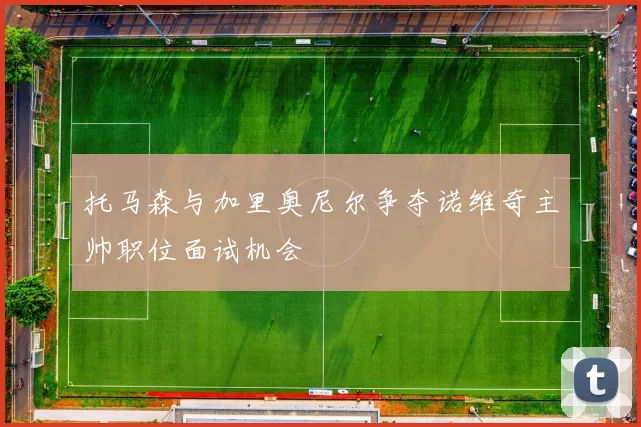 托马森与加里奥尼尔争夺诺维奇主帅职位面试机会