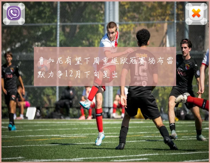 鲁加尼有望下周重返欧冠赛场布雷默力争12月下旬复出