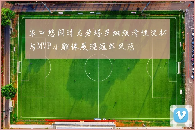 家中悠闲时光劳塔罗细致清理奖杯与MVP小雕像展现冠军风范