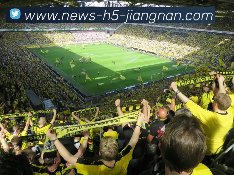 App Interface Preview